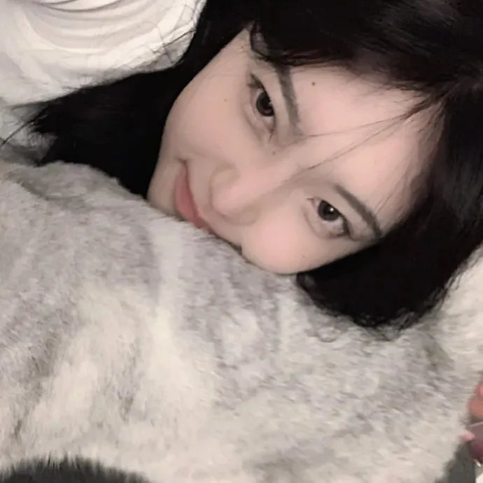 哥伦布怪圈 在线观看